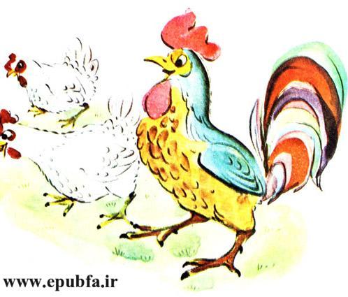 قصه کودکانه حنایی و جوجههایش-کتاب قصه کودکانه-ایپابفا قصه و داستان12